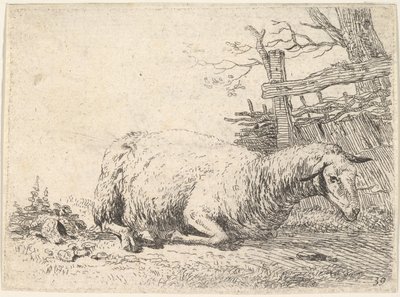 Ein Schaf liegt mit untergeschlagenen Beinen neben einem Holzzaun, ca. 1655 von Karel Du Jardin