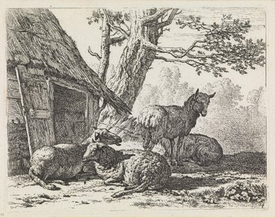 Vier Schafe von Karel Dujardin
