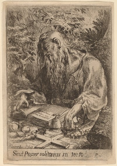 Ein Einsiedlerheiliger von Karel Frantisek Töpper