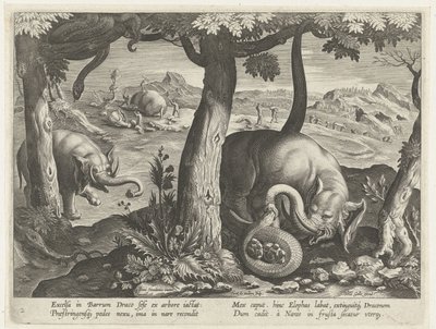 Elefant im Kampf mit Schlange, Jagdszenen (Serientitel) von Karel van Mallery (attributed to)