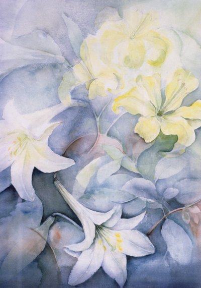 Lilium, Hearts Desire und Imperiale von Karen Armitage