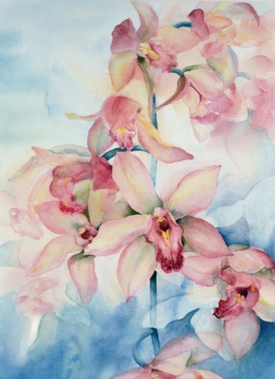 Orchidee Cymbidium Ramley von Karen Armitage