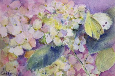 Helle Gelbling, Colias Hyale auf Hortensie von Karen Armitage
