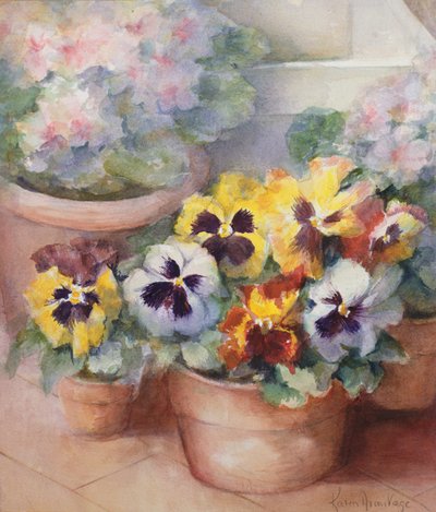 Stiefmütterchen in einem Wintergarten von Karen Armitage