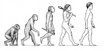 Evolution des Menschen von Karen Humpage