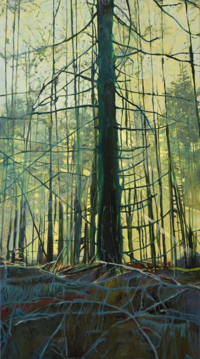 Ätherisches Waldlicht von Karin Bos
