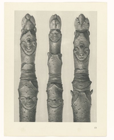 Pflanzenstudie Urformen der Kunst (Serientitel) von Karl Blossfeldt