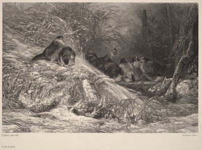 Im Schutz vor dem Frost von Karl Bodmer
