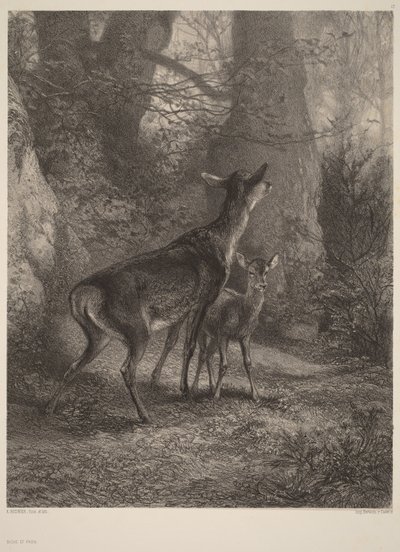  von Karl Bodmer