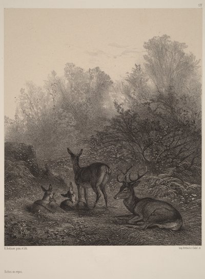  von Karl Bodmer