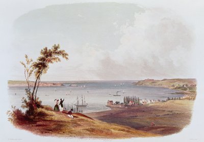 Einfahrt in die Bucht von New York, Staten Island, graviert von Salathe (Farblithografie) von Karl Bodmer