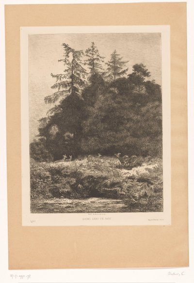 Hirsche am Waldrand von Karl Bodmer