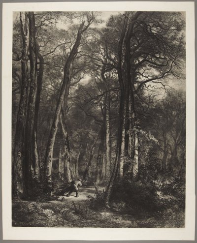  von Karl Bodmer
