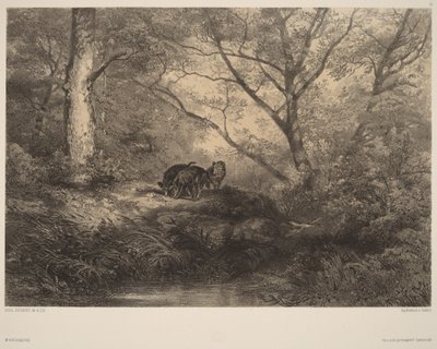  von Karl Bodmer