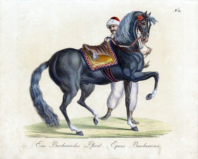  von Karl Joseph Brodtmann