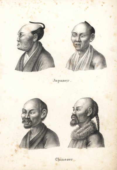 Büsten von japanischen Männern mit Chonmage-Frisur und chinesischen Männern mit Bärten von Karl Joseph Brodtmann