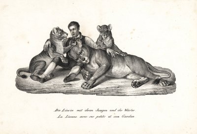 Löwin und Junge mit Trainer von Karl Joseph Brodtmann