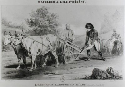 Napoleon (1769-1821) auf St. Helena, graviert von Francois le Villain von Karl after Loeillot Hartwig