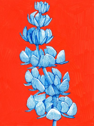 Kräftige Blaue Blüte von Katie O'Shea