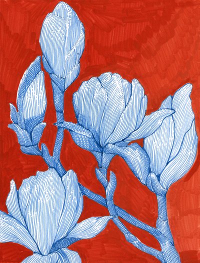 Kräftige Blaue Magnolien von Katie O'Shea