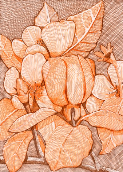 Schraffierte Orange Blüten von Katie O'Shea