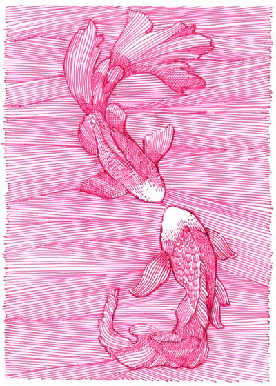 Rosa Koi Tanz von Katie O'Shea
