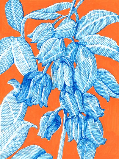 Lebendige Blaue Botanicals von Katie O'Shea