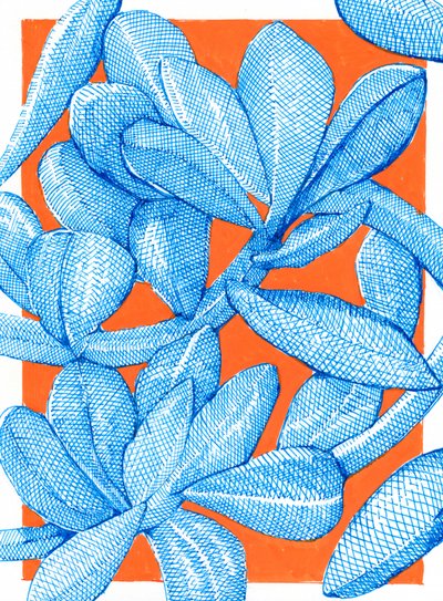 Lebendiger Botanischer Pop von Katie O'Shea