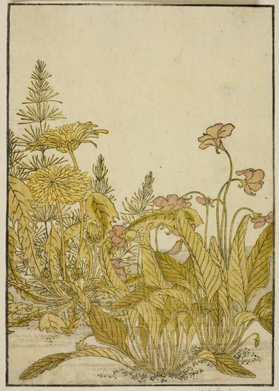 Frühlingsblumen: Veilchen und Löwenzahn, aus dem Buch "Spiegel der schönen Frauen der Vergnügungsviertel (Seiro bijin awase sugata kagami)," Bd. 1 von Katsukawa Shunsho