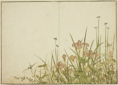 Sommerblumen: Schwertlilien und Wasserpflanzen, aus dem Buch "Spiegel der schönen Frauen der Vergnügungsviertel (Seiro bijin awase sugata kagami)," Bd. 1 von Katsukawa Shunsho