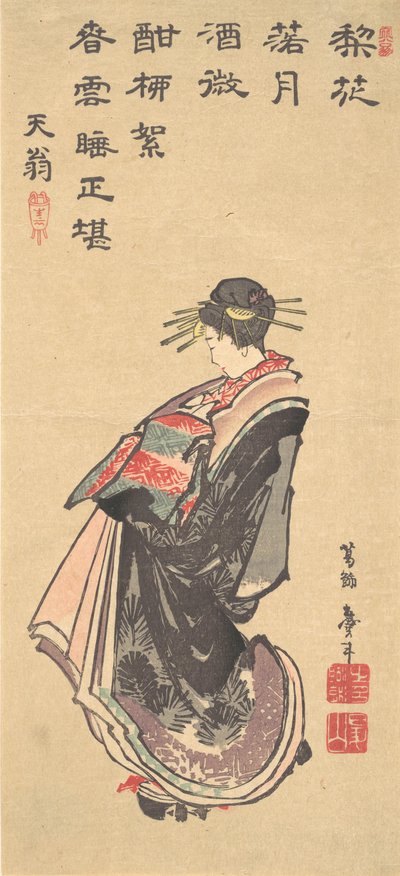 Eine Kurtisane auf Parade, in vielen Roben gekleidet von Katsushika Hokusai
