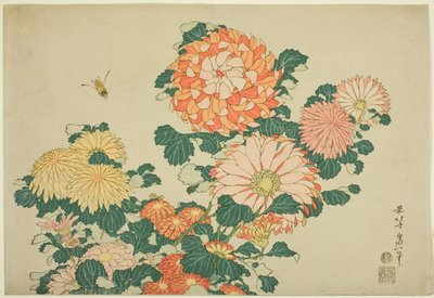 Chrysanthemen und Biene, aus einer unbetitelten Serie von großen Blumen von Katsushika Hokusai