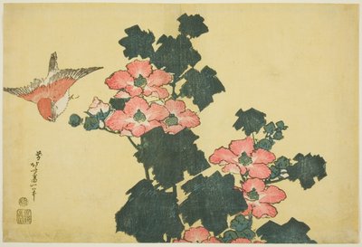 Baumwollrosen und Spatz, aus einer unbetitelten Serie großer Blumen von Katsushika Hokusai