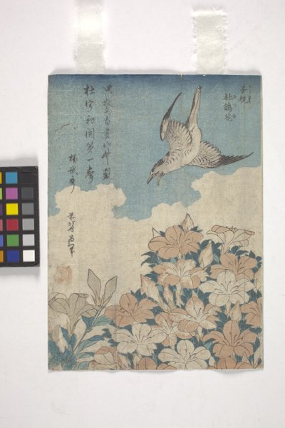 Kuckuck und Azalee von Katsushika Hokusai