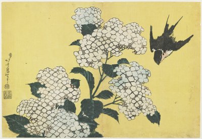 Hortensie und Schwalbe, ca. 1832 von Katsushika Hokusai