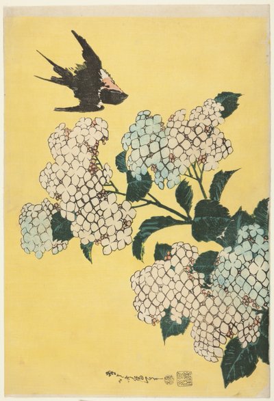 Hortensie und Schwalbe, aus einer unbetitelten Serie großer Blumen von Katsushika Hokusai