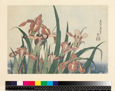 Schwertlilien und Heuschrecke, veröffentlicht von Nishimura Eijudo, ca. 1832 (yoko-e - horizontales Format, Farbholzschnitt) von Katsushika Hokusai