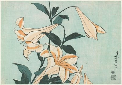 Lilien von Katsushika Hokusai