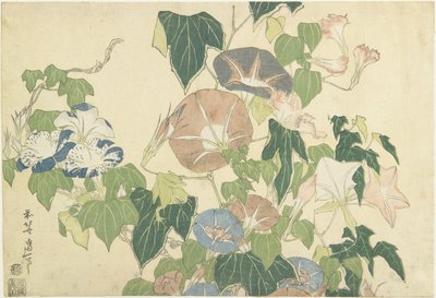 Morgenruhm und Baumfrosch, aus der unbetitelten Serie bekannt als Große Blumen, ca. 1833-34 von Katsushika Hokusai