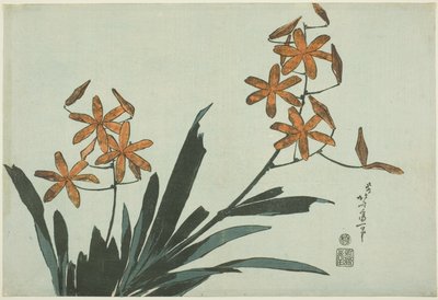 Orange Orchideen, aus einer unbetitelten Serie von Blumen von Katsushika Hokusai