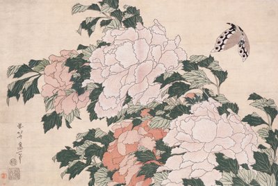 Rosa und Rote Pfingstrosen, vom Wind nach links geblasen und ein Schmetterling von Katsushika Hokusai