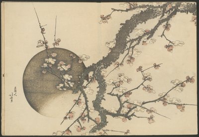 Pflaumenblüte und der Mond aus dem Buch Berg Fuji im Frühling (Haru no Fuji) von Katsushika Hokusai