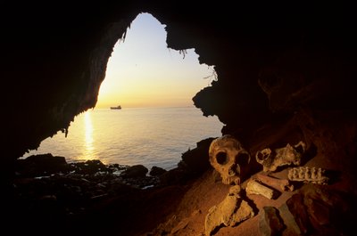 DOH, Neandertaler, Frauenschädel, bearbeitete Werkzeuge, Steinbockknochen, Gorham