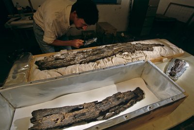 Dr. Matthew Adams inspiziert Holzbootplanke im Labor, Hartholz, nicht Zeder, aus Abydos, Ägypten, 2005 von Kenneth Garrett