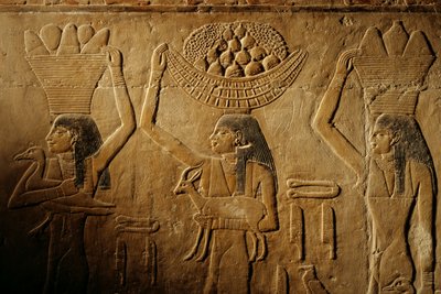 Frauen, die Brot, Vogel, Ziege und Produkte tragen, Grab von Tiye, Ägypten; Altes Reich; Saqqara von Kenneth Garrett