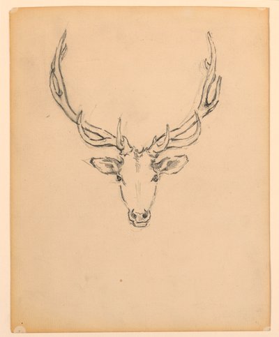 Studie eines Hirschkopfes von Kenyon Cox
