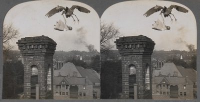 In alten Zeiten, wenn die Leute gut waren, brachte der Storch ein süßes und schönes Baby von Keystone View Company
