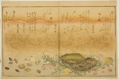 Chidori-gai, itaya-gai, awabi, utsuse-gai, asari-gai und monoara-gai, aus dem illustrierten Buch "Geschenke von der Ebbe (Shiohi no tsuto)" von Kitagawa Utamaro