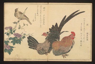 Hahn und Ammer von Kitagawa Utamaro