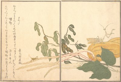 Kegelkopfschrecke oder Heuschrecke, batta, Gottesanbeterin Toro oder Kamakiri..., 1788 von Kitagawa Utamaro